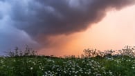 Wetter in Niedersachsen und Bremen: "Kräftige Schauer" im Norden erwartet