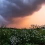 Wetter in Niedersachsen und Bremen: "Kräftige Schauer" im Norden erwartet