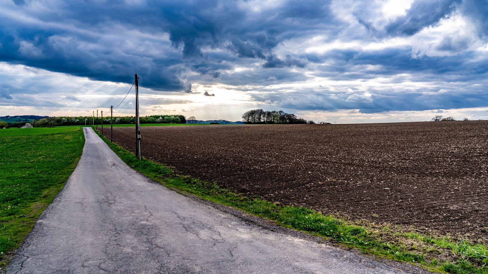 Feldweg in NRW (Symbolfoto): Die Dortmunder Polizei sucht nach einem sexuellen Übergriff Zeugen.