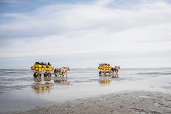 Pferdewagen im Wattenmeer (Symbolbild): Rosis letzter Wunsch ging in Erfüllung.