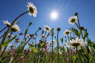 Sonniges Wetter