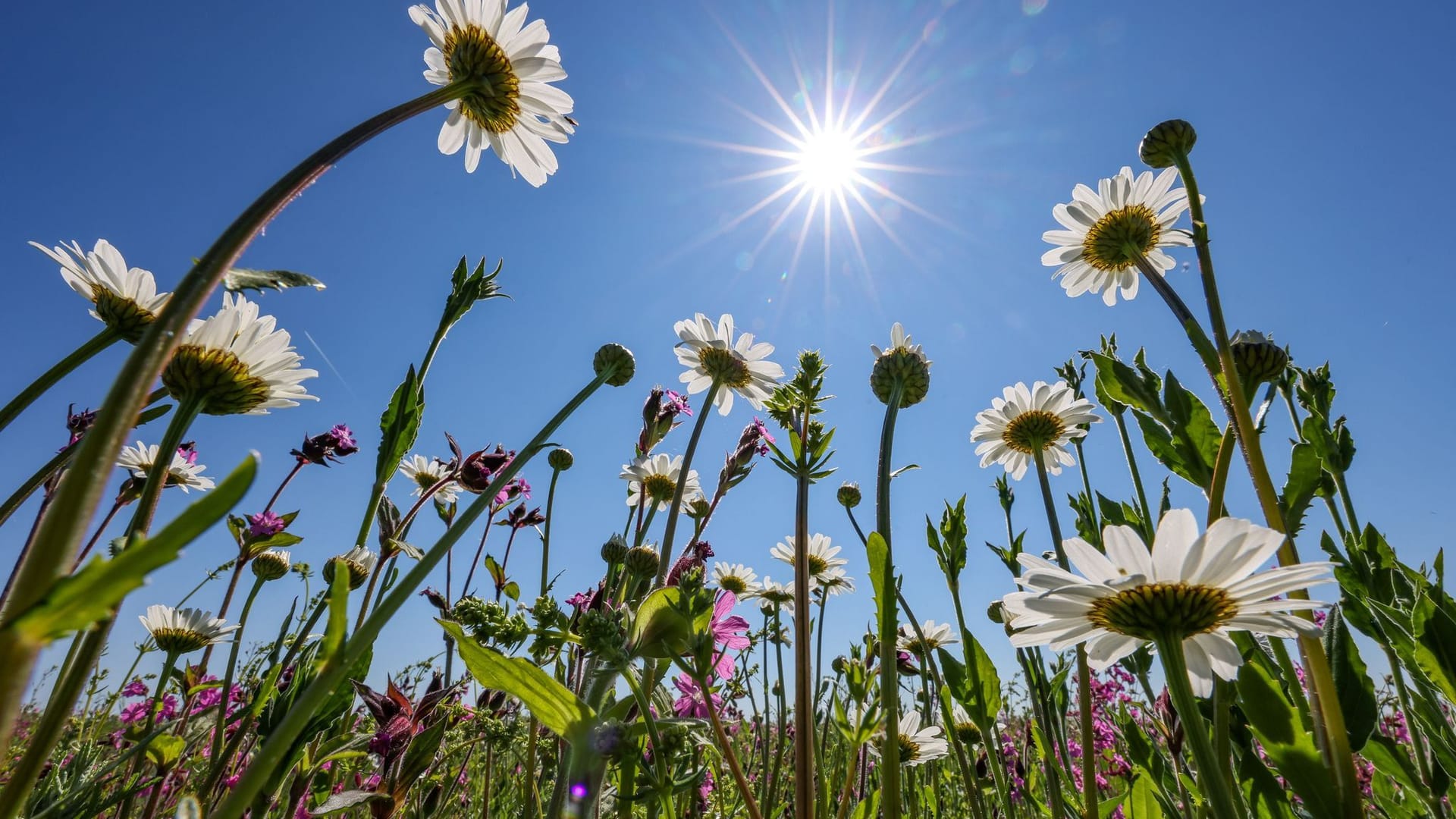 Sonniges Wetter