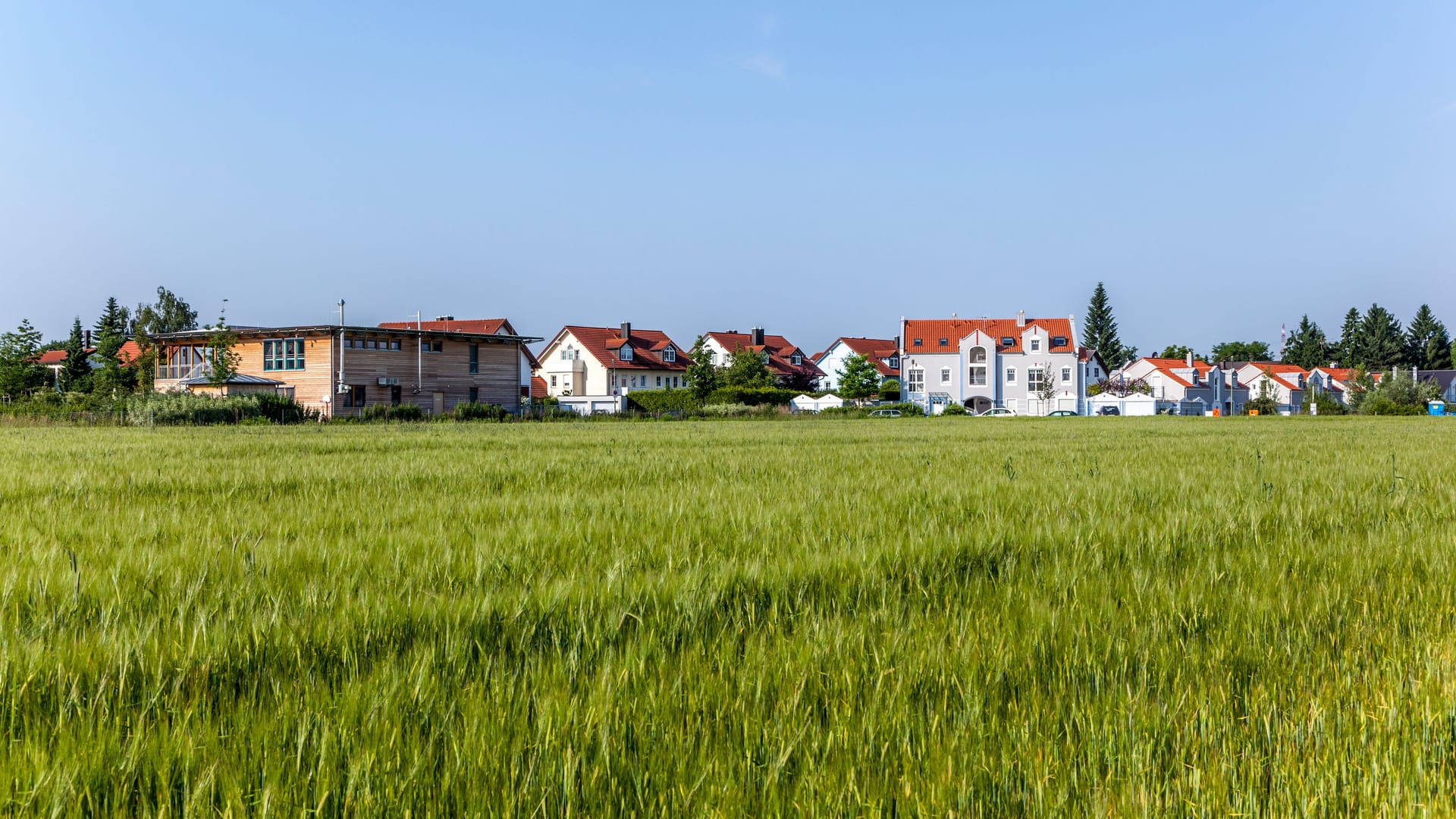 new housing area near the meadow in beautiful landscape