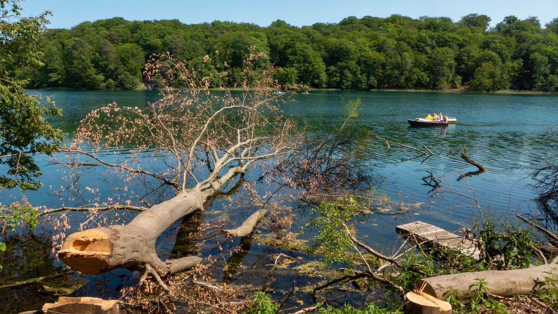 imago images 0262222772