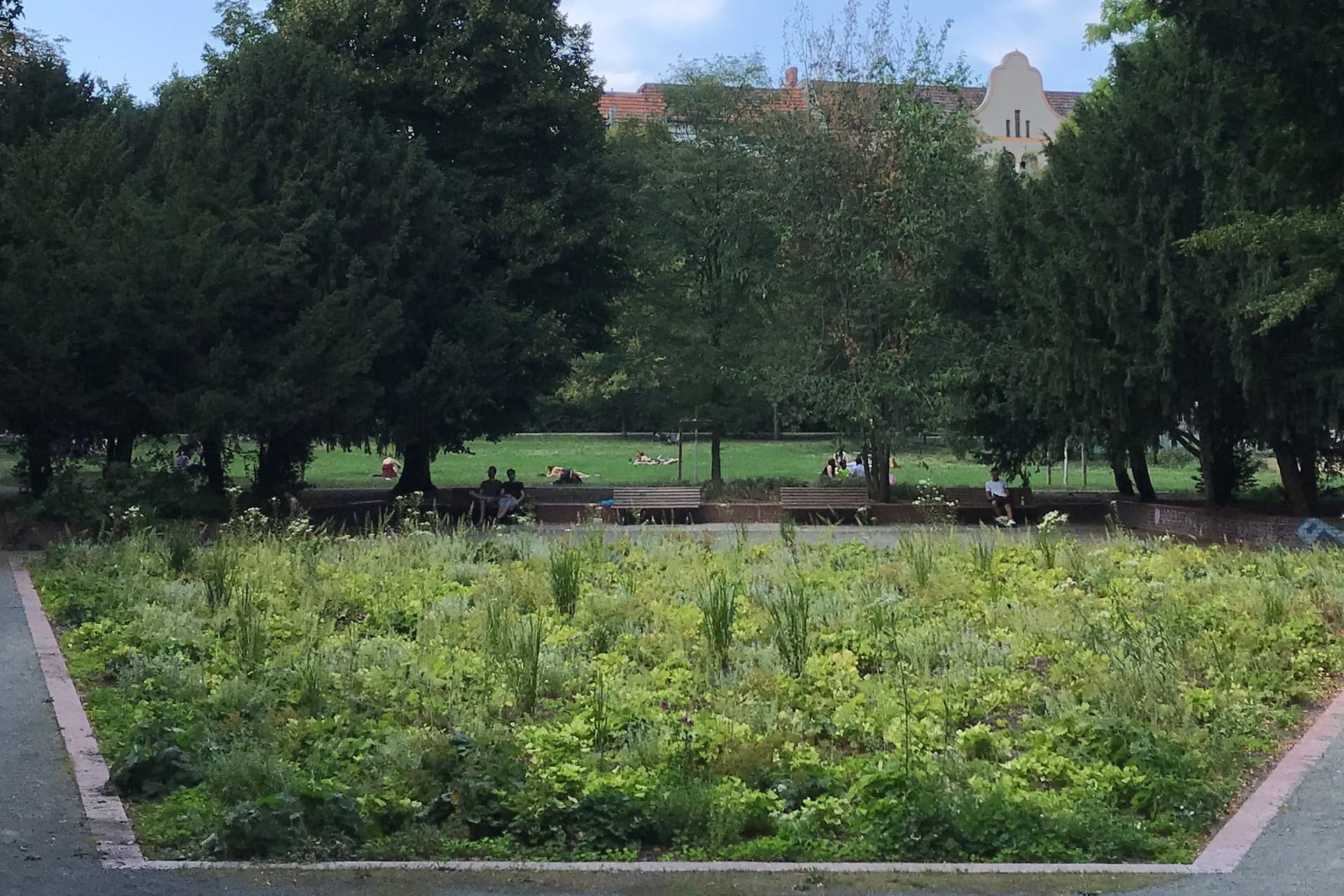 Weichselpark in Berlin-Neukölln (Archivbild): Der Angreifer soll schwer betrunken gewesen sein.