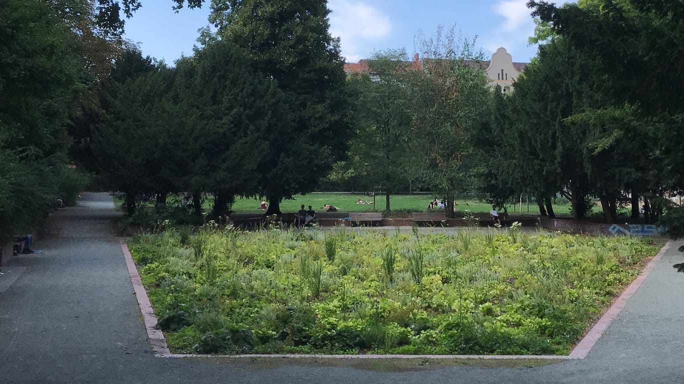 Weichselpark in Berlin-Neukölln (Archivbild): Der Angreifer soll schwer betrunken gewesen sein.