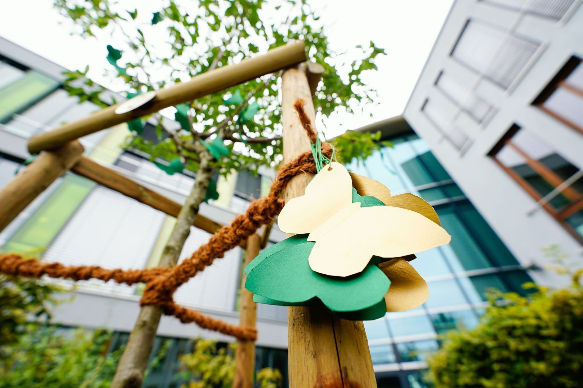 Gedenkbäumchen am Löwenrot-Gymnasium