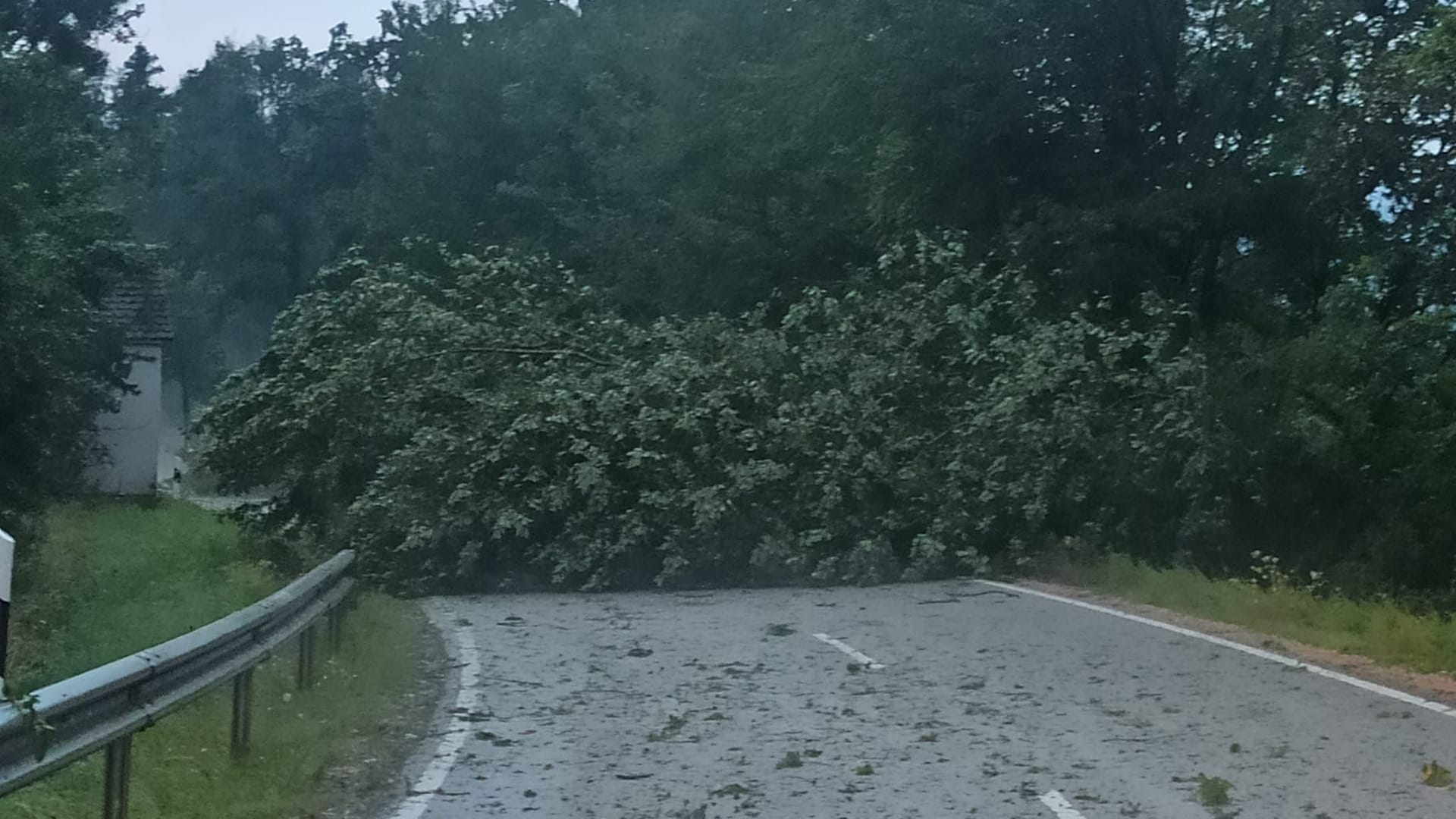 Ein umgestürzter Baum liegt bei Regenstauf auf der Straße: Ein Unwetter suchte am Samstagabend die Oberpfalz heim.