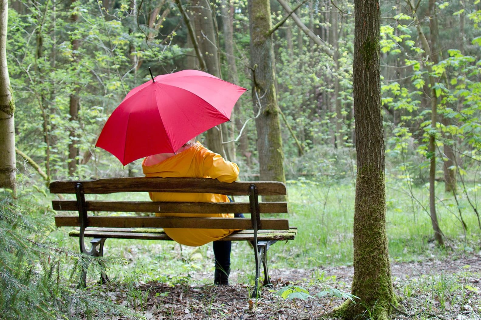 Frau sitzt mit Regenschirm auf einer Bank: Der Stoff sollte vollständig getrocknet sein, ehe Sie den Regenschirm wieder zusammenpacken.