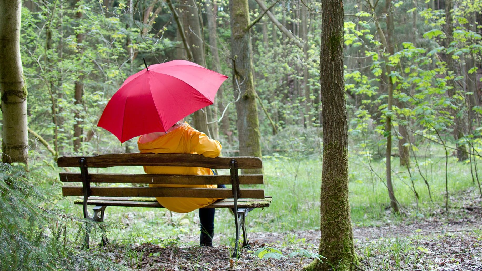 Frau sitzt mit Regenschirm auf einer Bank: Der Stoff sollte vollständig getrocknet sein, ehe Sie den Regenschirm wieder zusammenpacken.