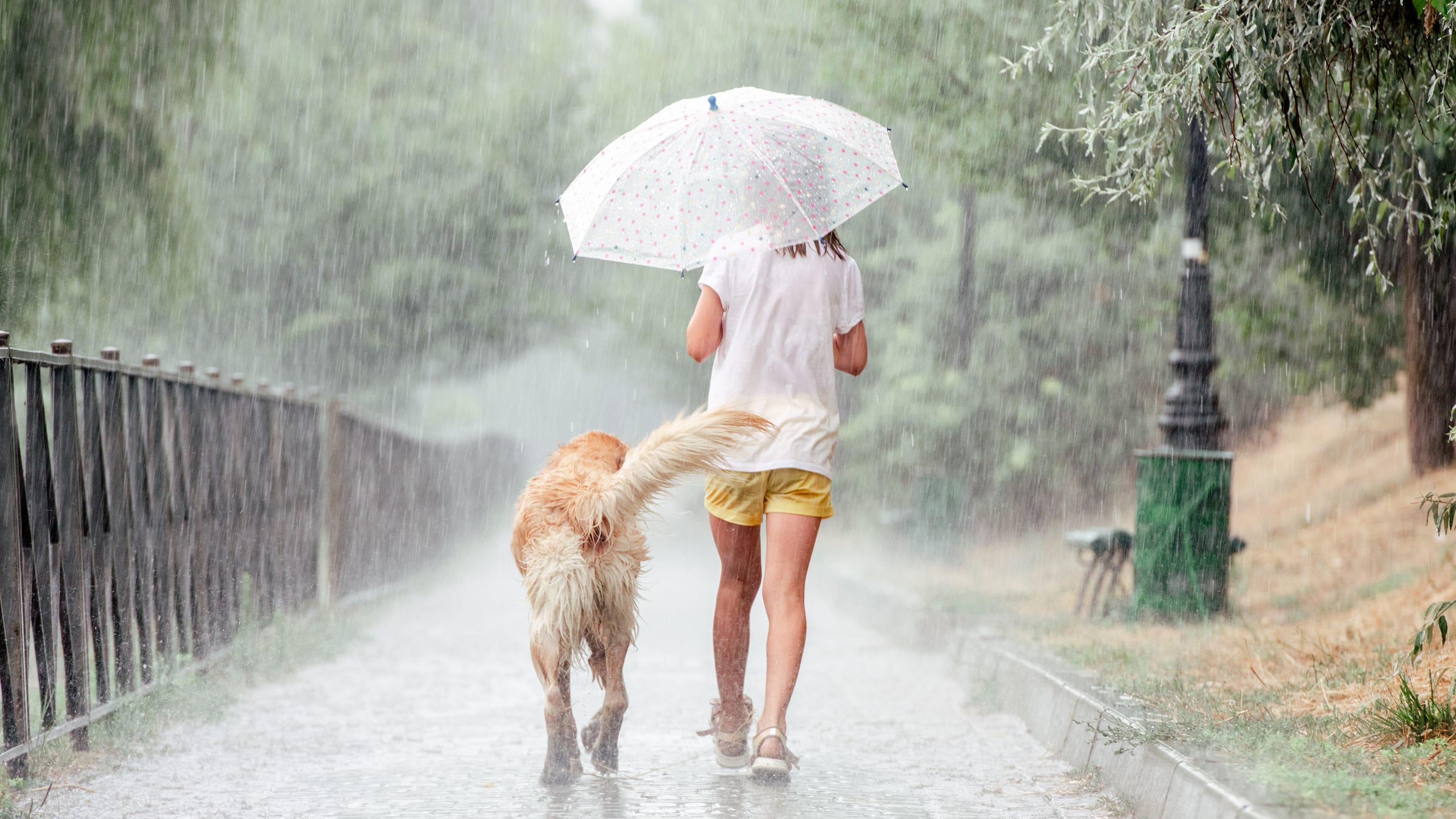 Verhalten bei Gewitter: Regenschirme können zur Gefahr werden.