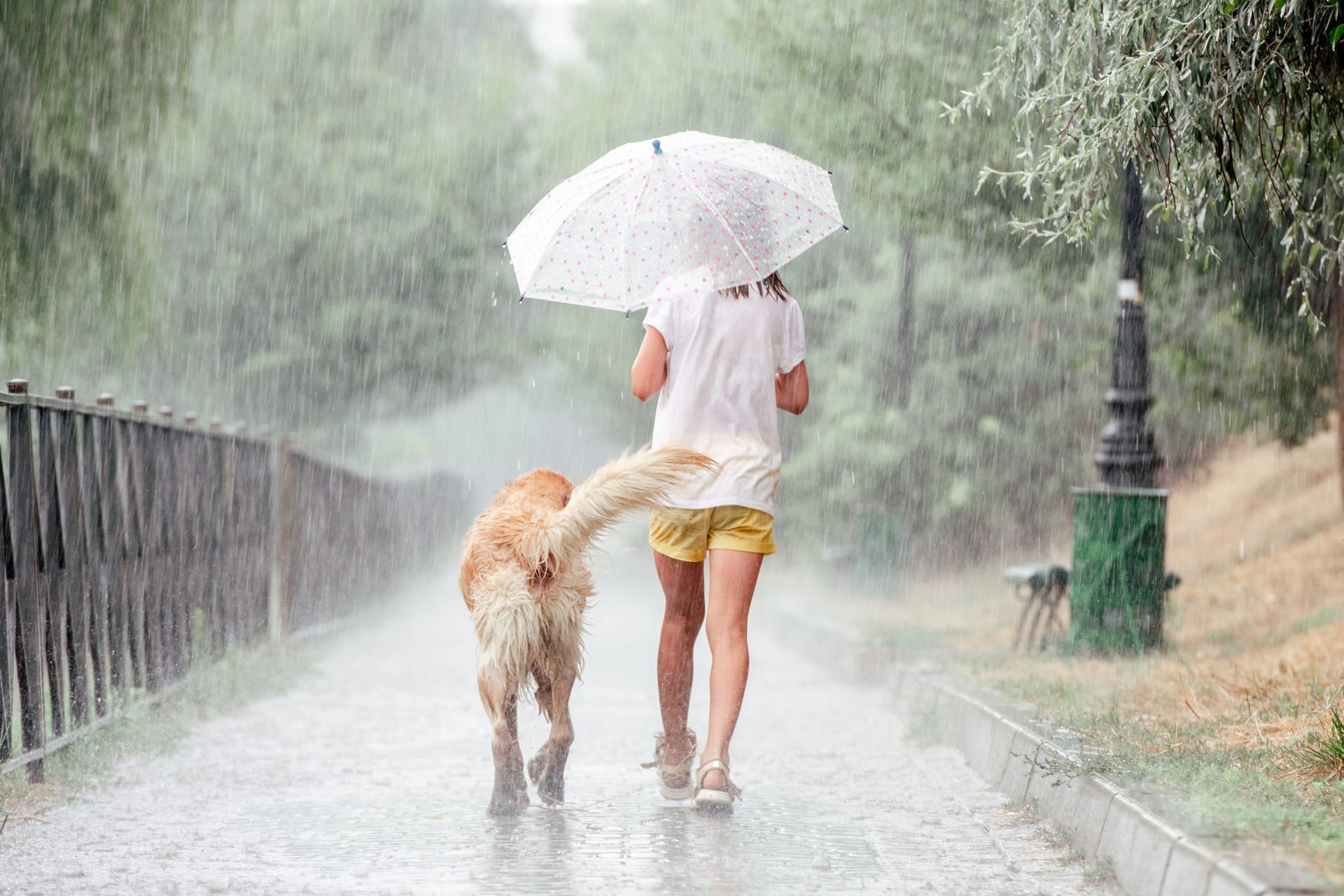 Verhalten bei Gewitter: Regenschirme können zur Gefahr werden.