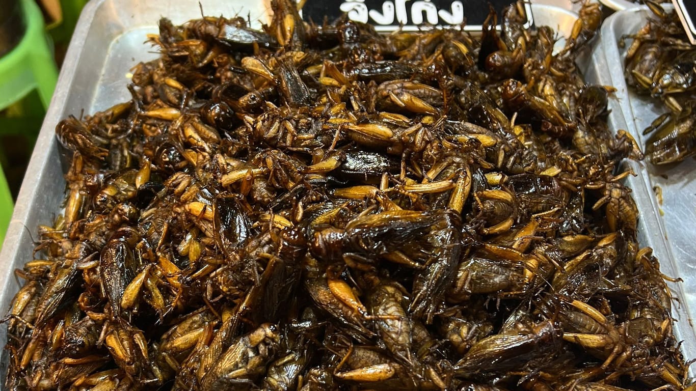 Insekten als Nahrungsmittel in Thailand