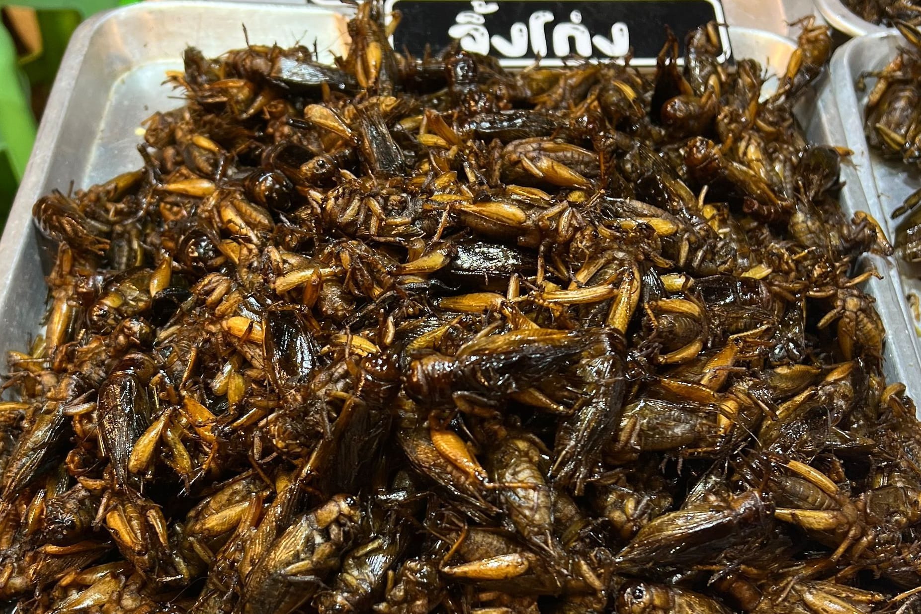 Insekten als Nahrungsmittel in Thailand