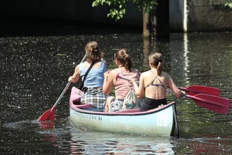 Drei Frauen fahren Kanu auf dem Osterbekkanal (Archivbild): Am Wochenende sind dort viele Fische verendet.