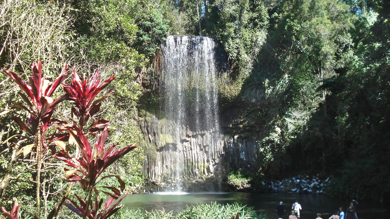 Millaa Millaa Falls