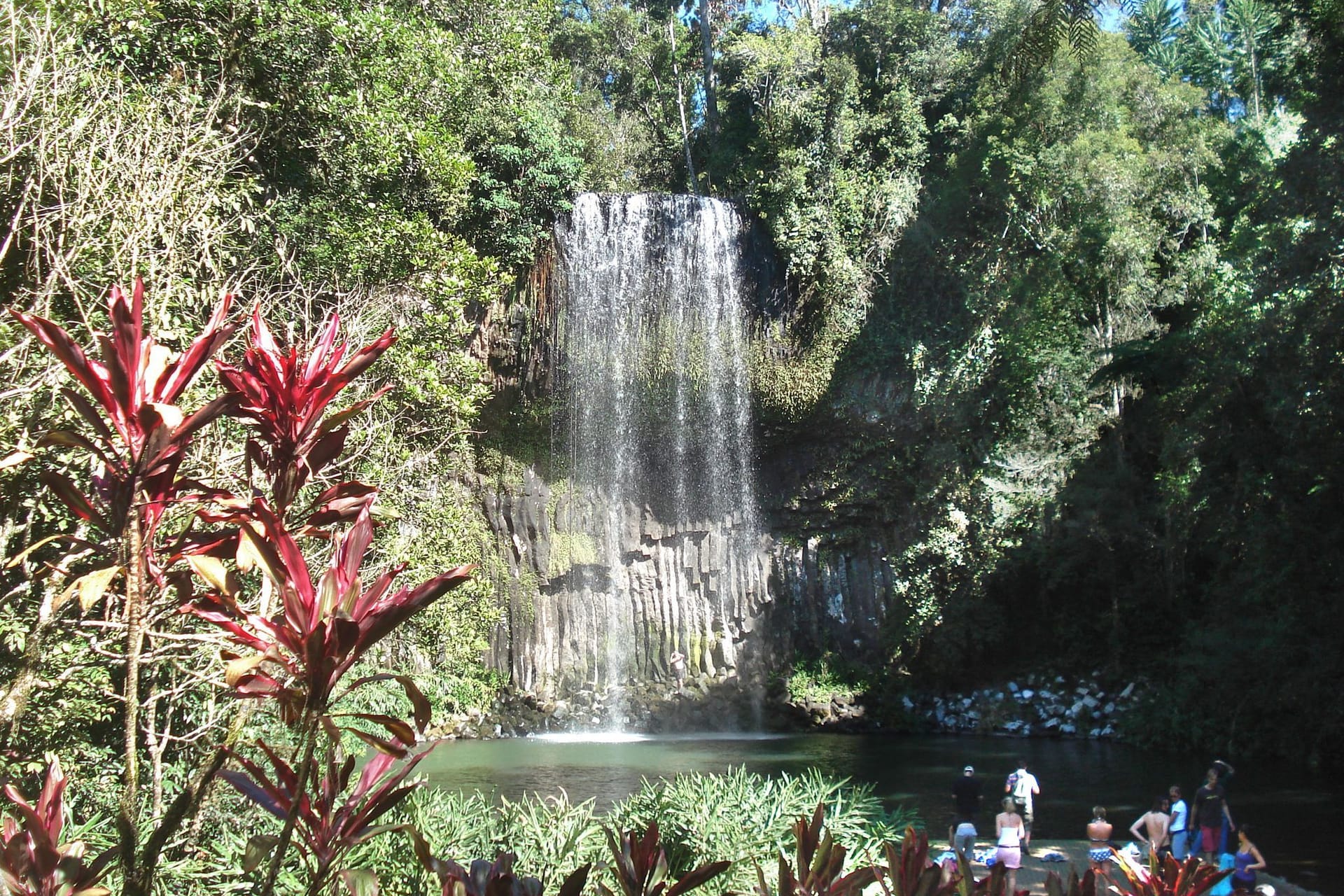 Millaa Millaa Falls
