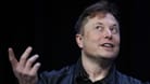 Elon Musk: Der Tesla-Chef soll insgesamt zwölf Kinder haben.