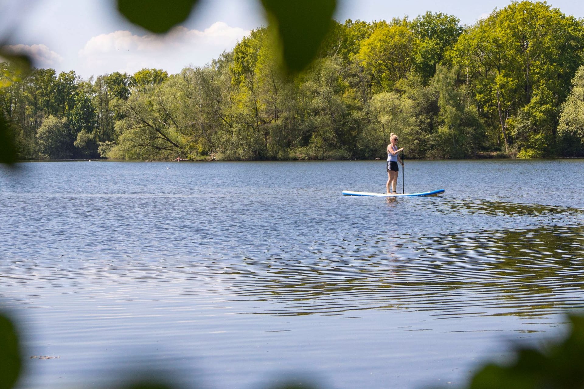 Eine Person auf einem Stand-up-Paddel im Boberger See (Archivbild): Die Badestelle wurde vorerst gesperrt.