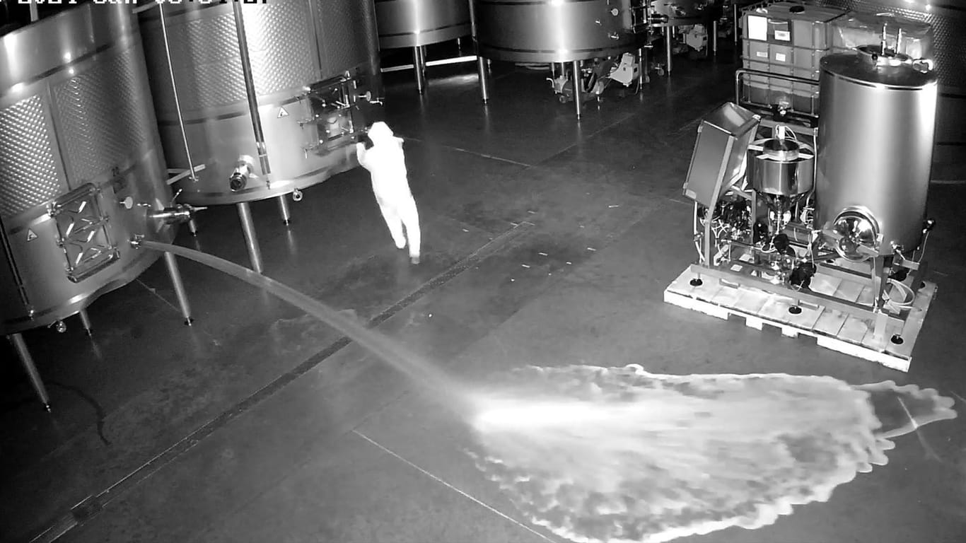 Auf dieser Aufnahme einer Sicherheitskamera ist eine Person zu sehen, die im Lagerraum des Weinguts Cepa 21 Wein verschüttet. Der mutmaßliche Sabotageakt ereignete sich im Februar mitten in der Nacht.