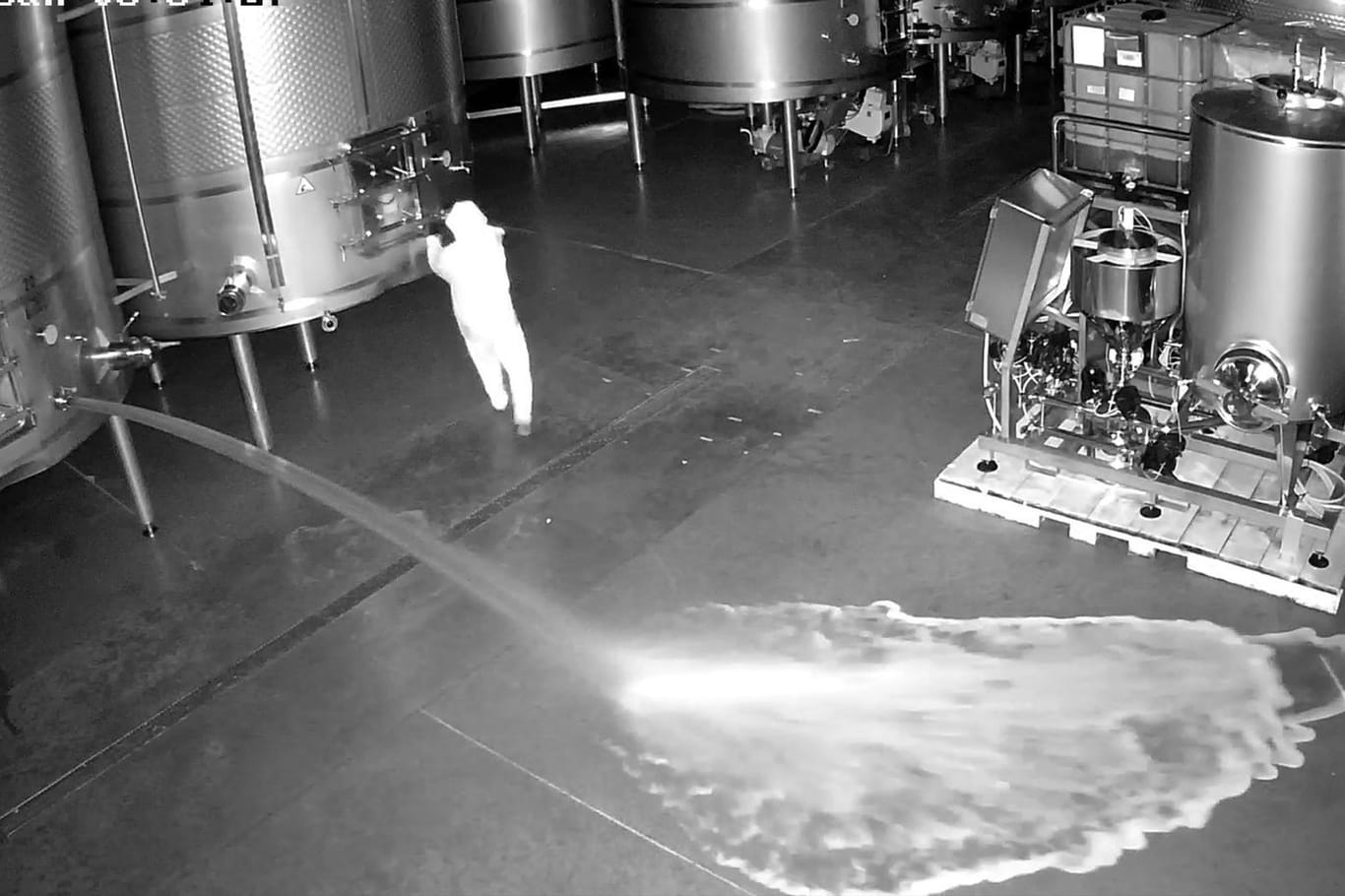 Auf dieser Aufnahme einer Sicherheitskamera ist eine Person zu sehen, die im Lagerraum des Weinguts Cepa 21 Wein verschüttet. Der mutmaßliche Sabotageakt ereignete sich im Februar mitten in der Nacht.