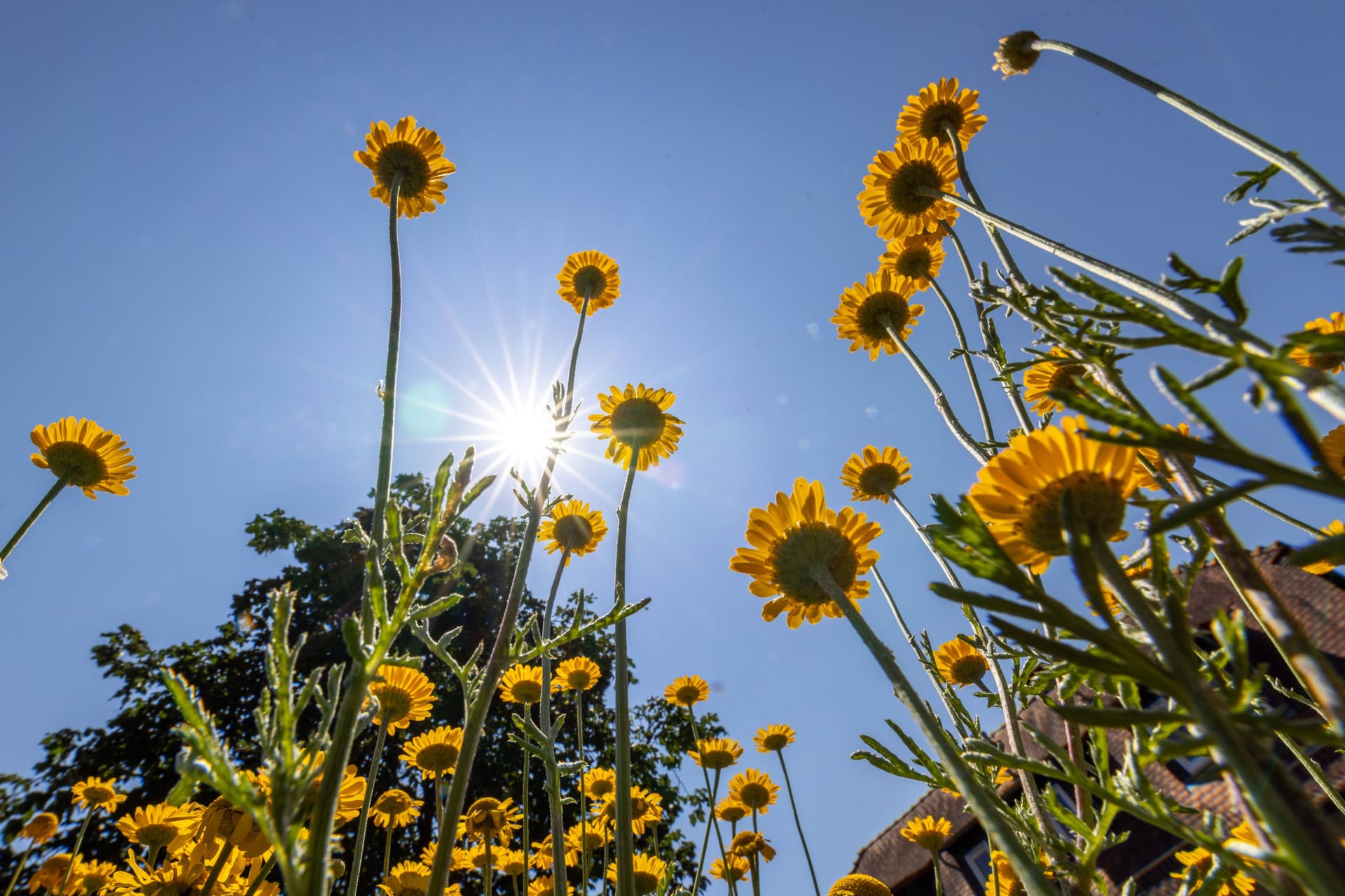 Sonnenschein in Hessen (Symbolbild):