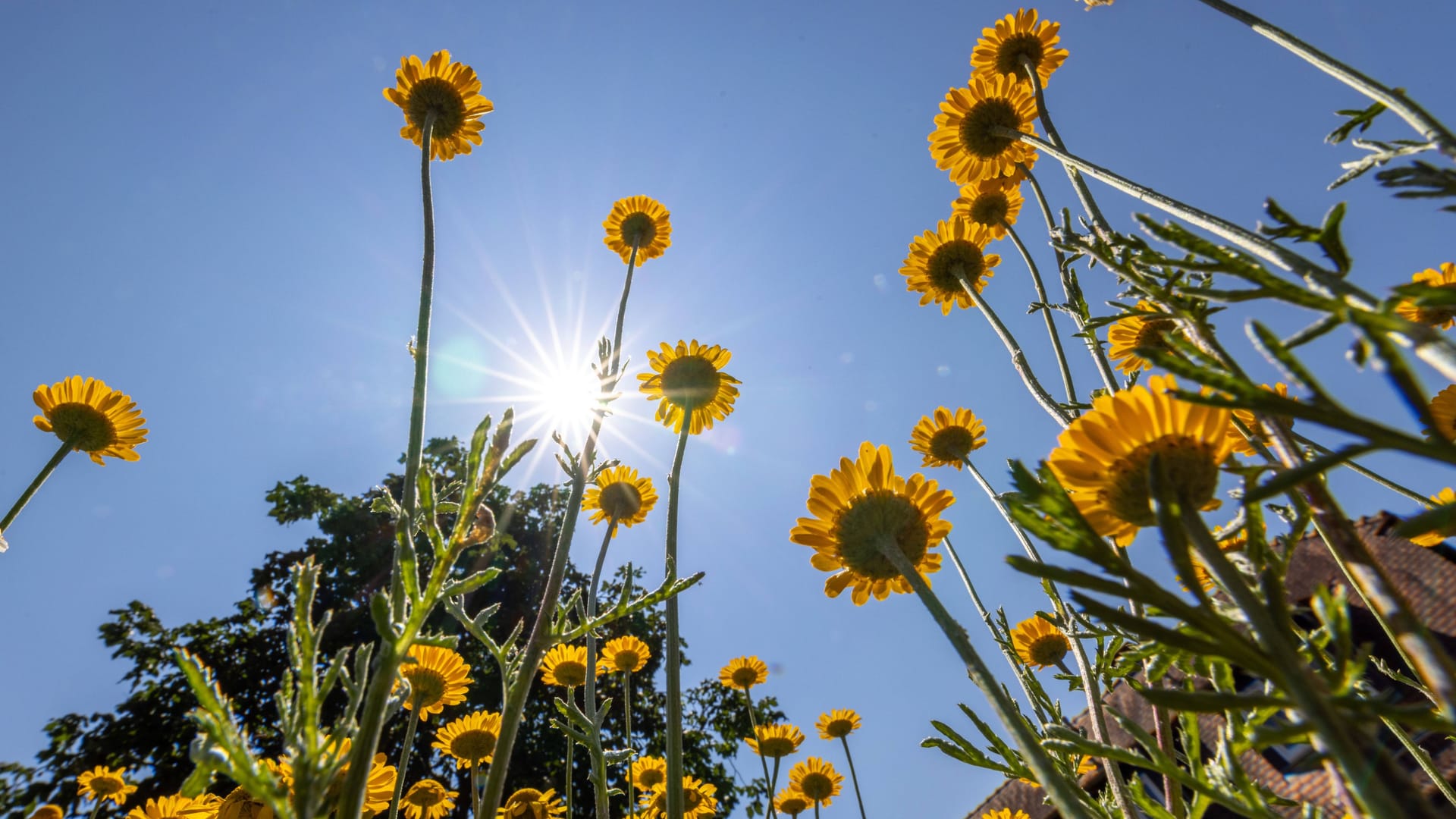 Sonnenschein in Hessen (Symbolbild):