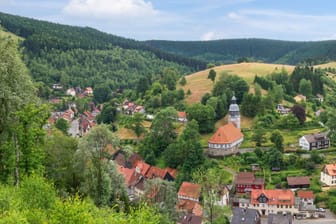 Panoramabild der kleinen Bergstadt Wildemann im Harz (Archivbild):