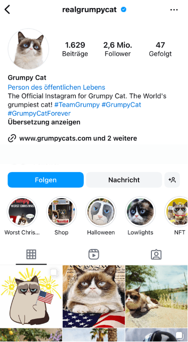 Oben sehen Sie die Beitragszahl, die Followerzahl und wie viele Personen das Profil abonniert hat.