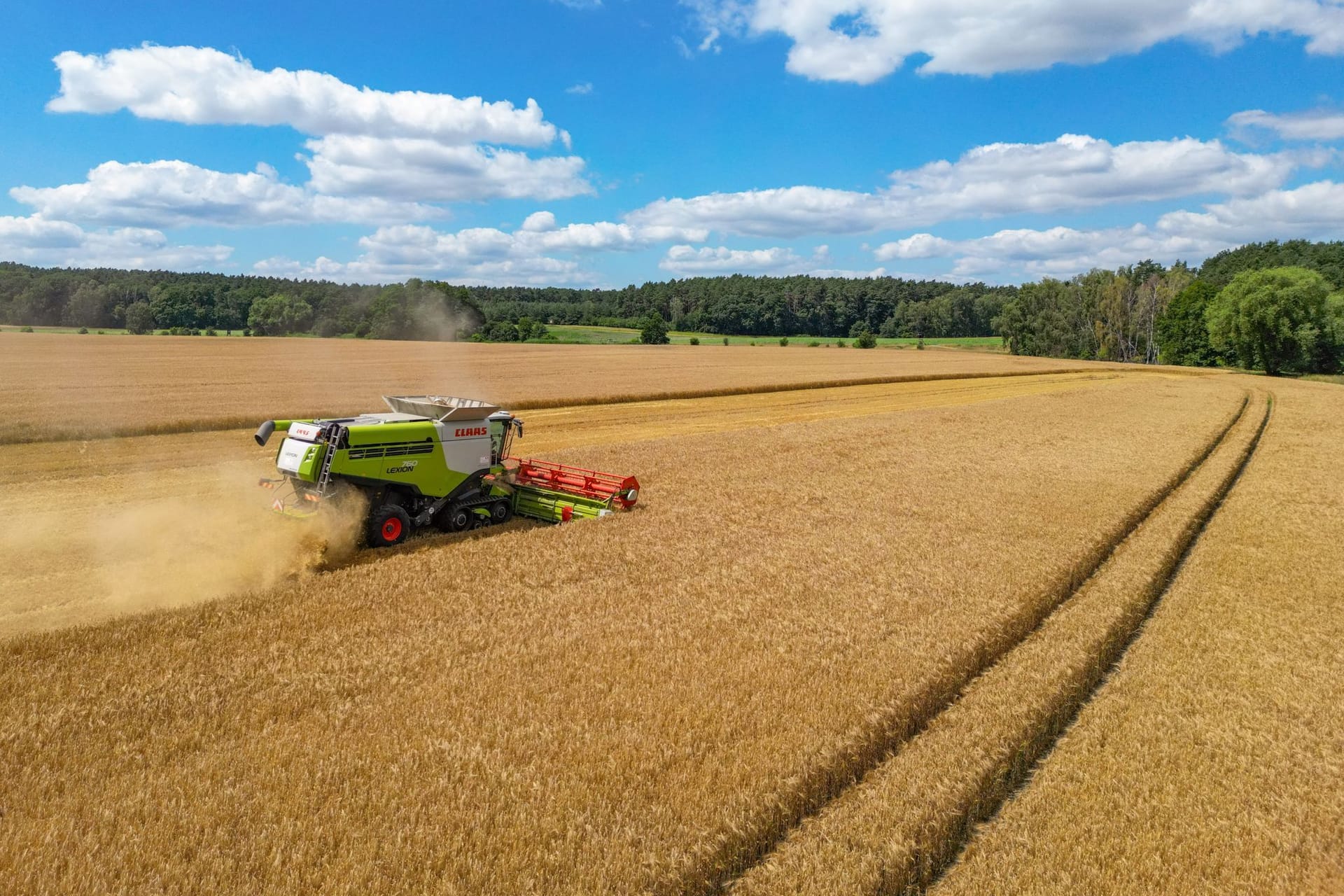 Landwirtschaft