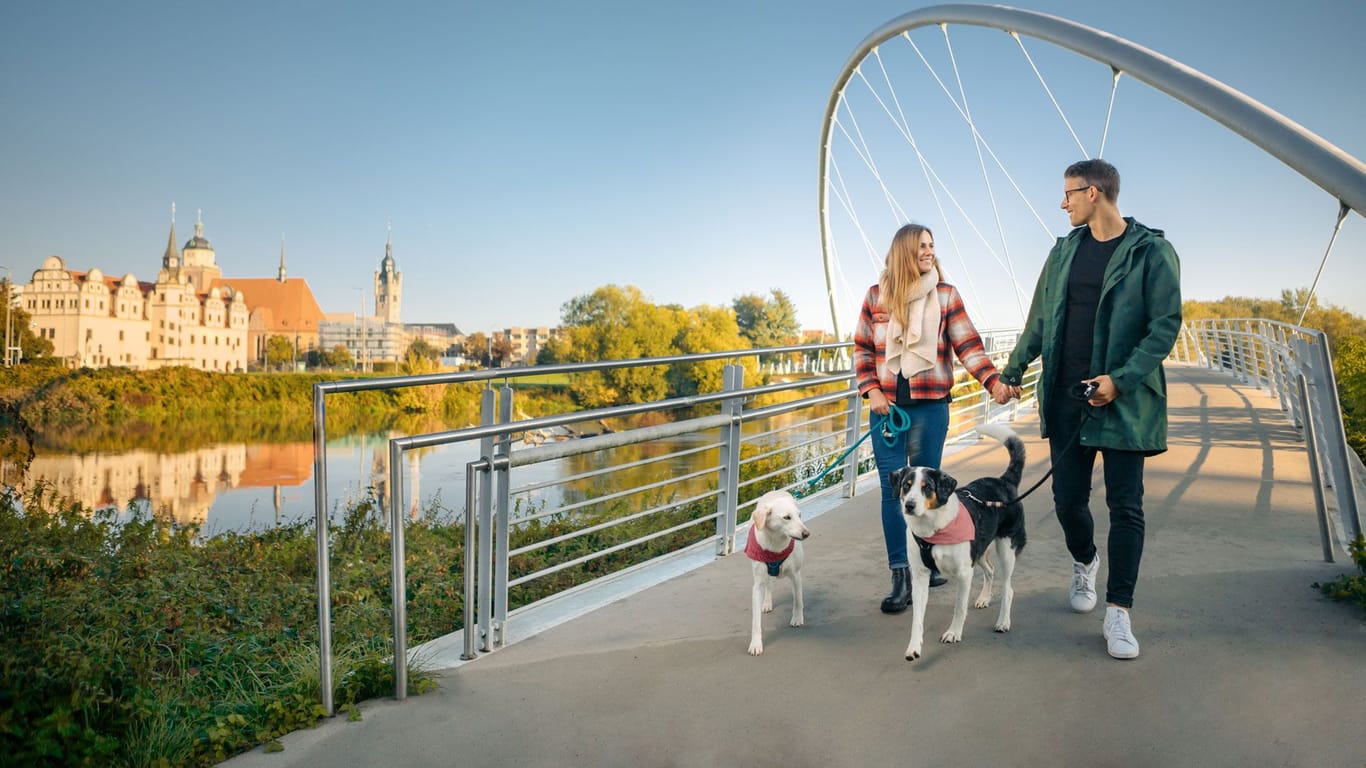 In Dessau finden Sie den perfekten Ort zum Leben, Arbeiten und Genießen.