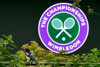 Vor den Wimbledon Championships