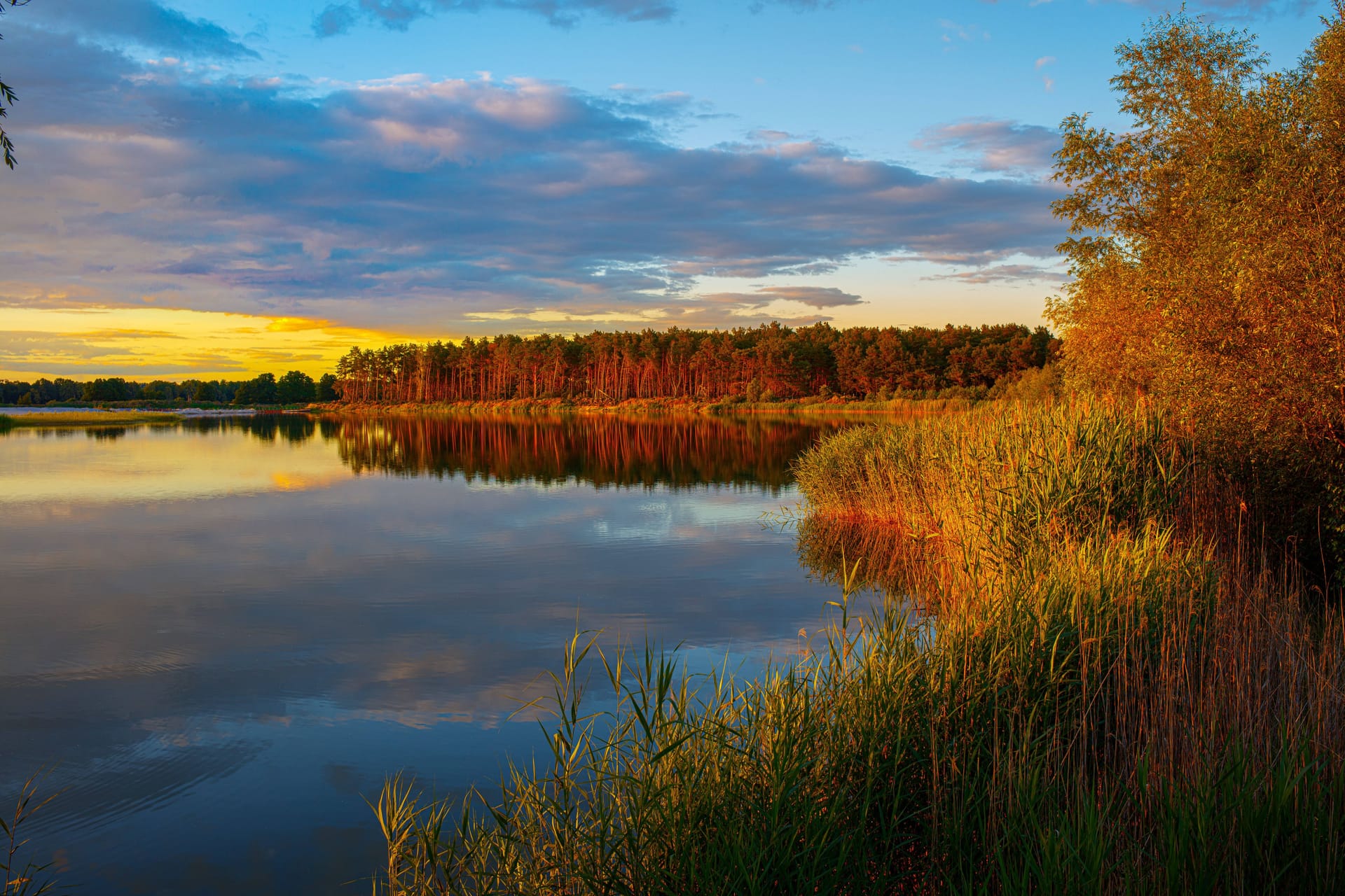 Ein See nahe Zerpenschleuse: In dem Ortsteil der Gemeinde Wandlitz gibt es viel zu entdecken.