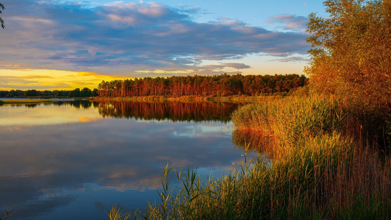 Ein See nahe Zerpenschleuse: In dem Ortsteil der Gemeinde Wandlitz gibt es viel zu entdecken.