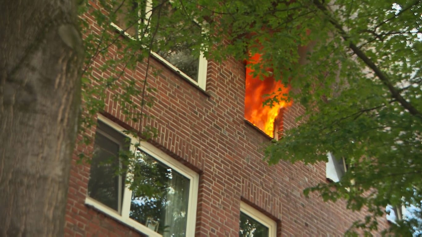 Brandwohnung in Horn: Eine Frau konnte samt ihrer Katze gerettet werden.