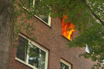 Brandwohnung in Horn: Eine Frau konnte samt ihrer Katze gerettet werden.