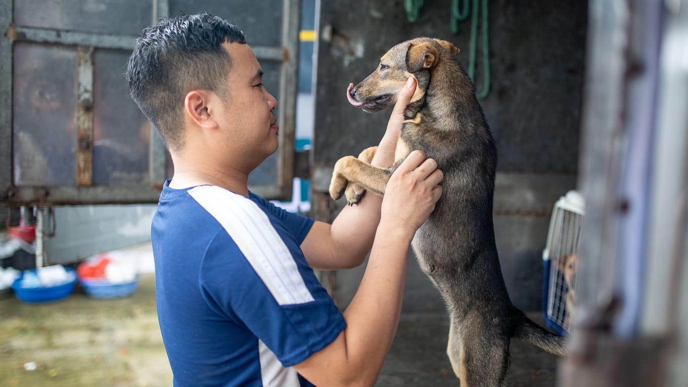 Hundefleischhandel in Vietnam