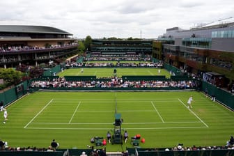 Wimbledon-Rasen