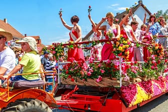 Steinfurther Rosenfest (Archivbild): Dieses Jahr verspricht das Fest besonders bunt zu werden.