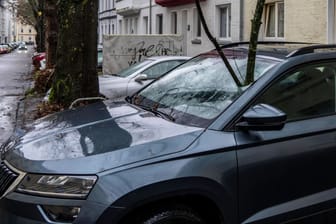 Sturmschäden: Häufig sind sie Teil- und Vollkaskoschäden. Es sei denn, die Verantwortlichen haben ihre Verkehrssicherungspflicht verletzt.