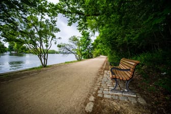 Plänterwald in Berlin (Archivbild): Im dortigen Landschaftsschutzgebiet haben Dutzende Leute gefeiert.