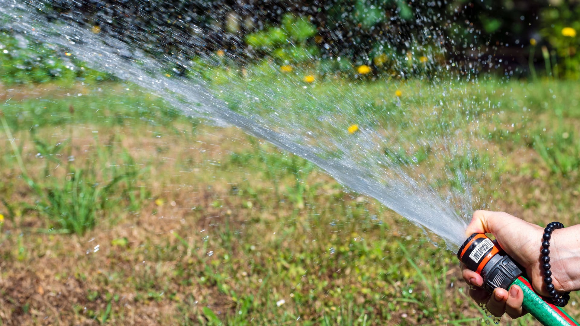 Eine Hand hält einen Schlauch, aus dem Wasser spritzt (Archivbild): Die Stadt Potsdam bittet darum, Wasser zu sparen.