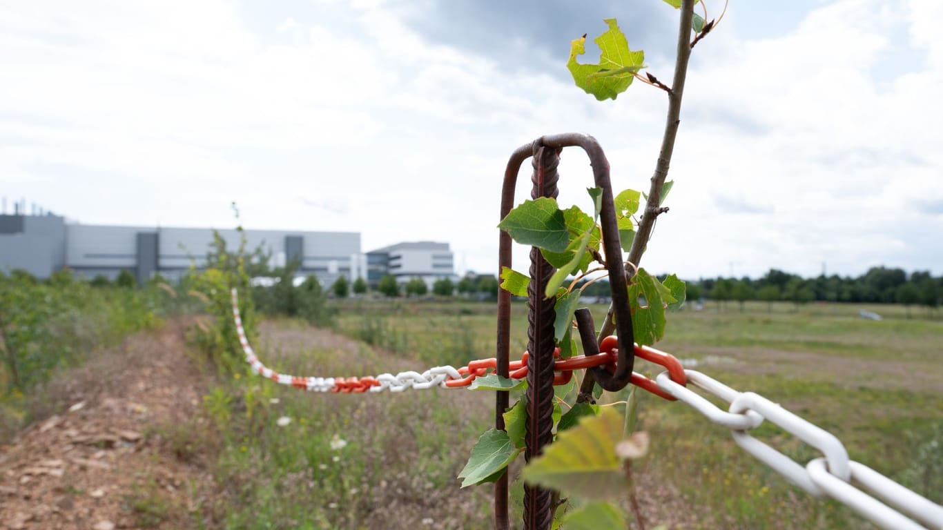 Der Industriepark im Dresdner Stadtteil Klotzsche: Hier will der taiwanische Chiphersteller TSMC ein Halbleiterwerk errichten.