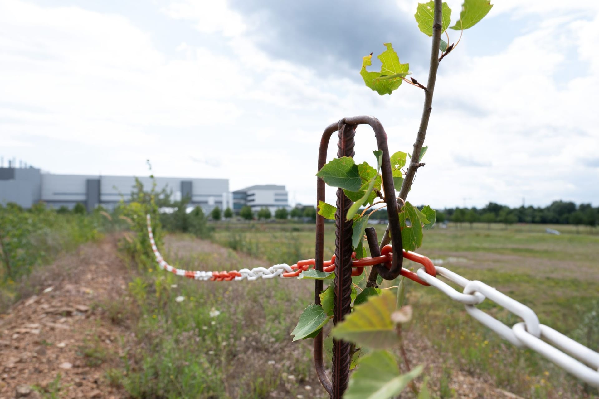 Der Industriepark im Dresdner Stadtteil Klotzsche: Hier will der taiwanische Chiphersteller TSMC ein Halbleiterwerk errichten.