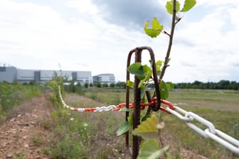 Der Industriepark im Dresdner Stadtteil Klotzsche: Hier will der taiwanische Chiphersteller TSMC ein Halbleiterwerk errichten.