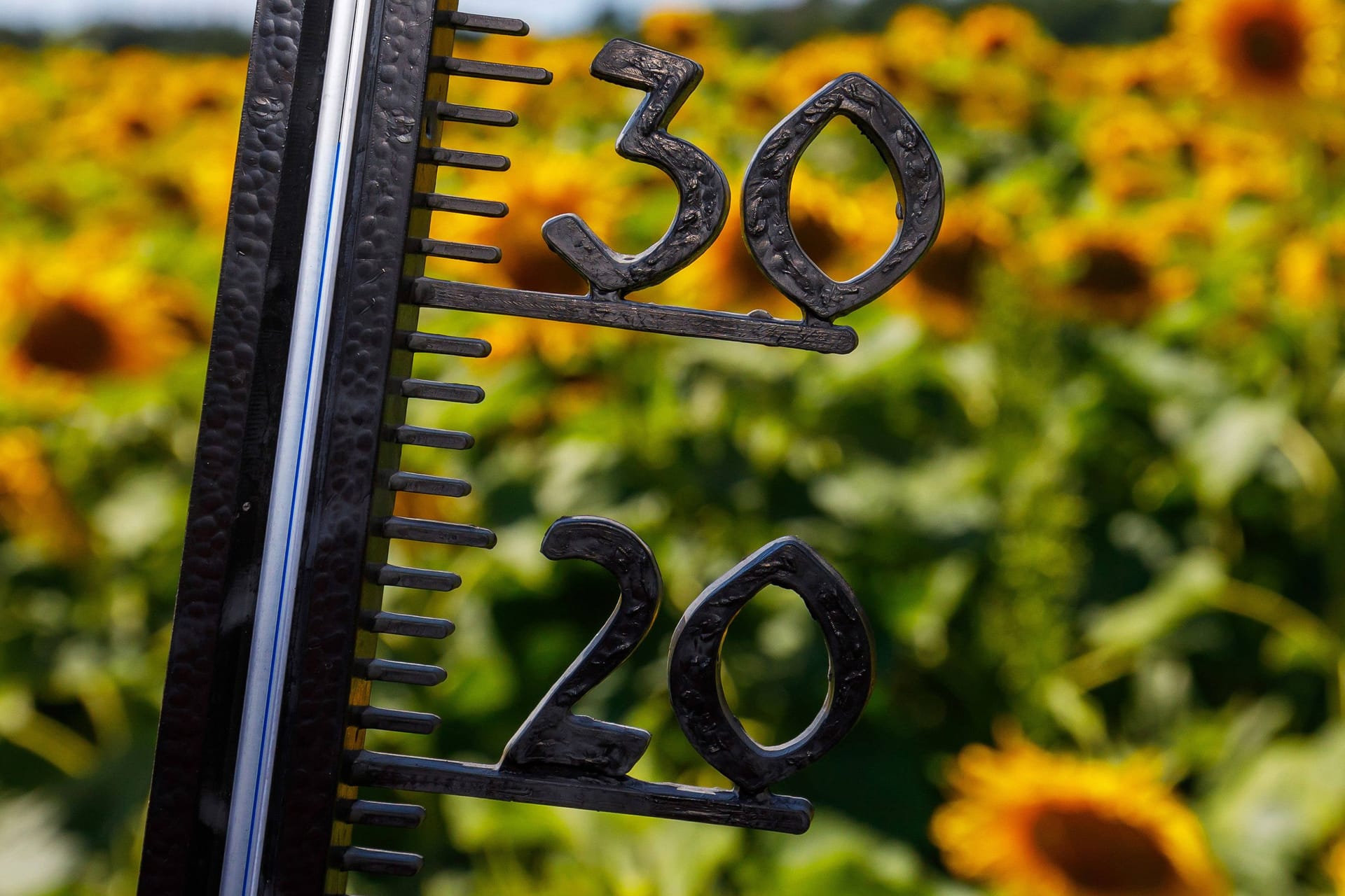 Ein Thermometer zeigt mehr als 30 Grad an (Symbolbild): Wie lange bleibt es in Bremen noch sommerlich?