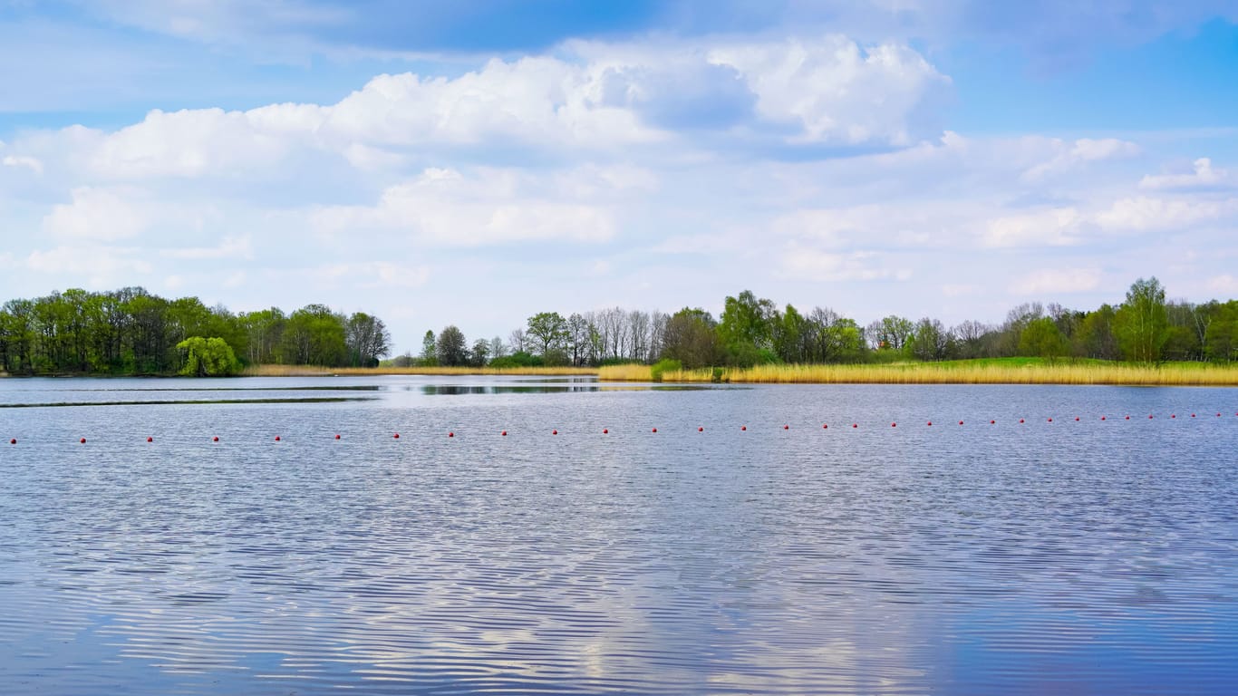 Blick auf den Dippelsdorfer Teich: