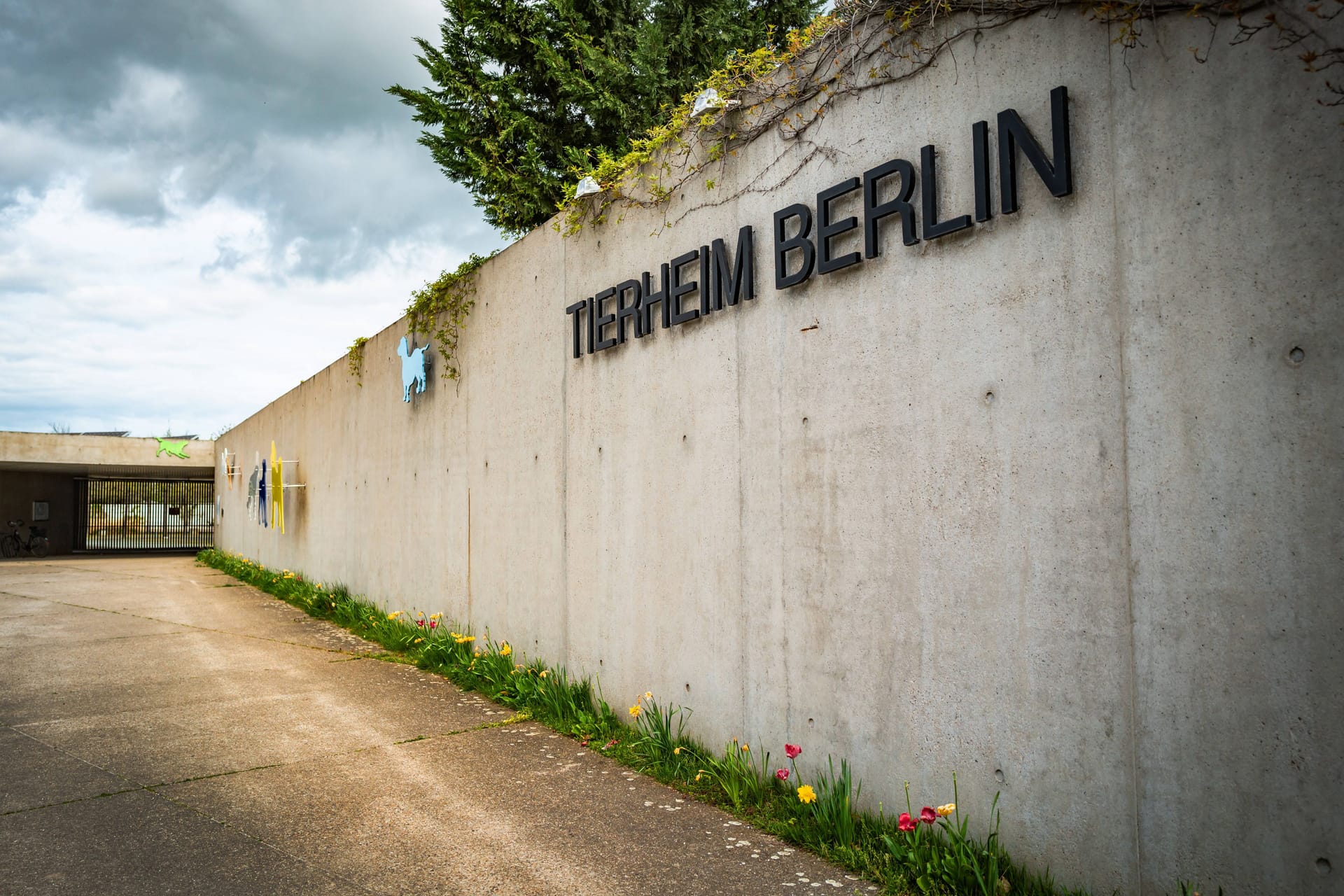 Das Tierheim Berlin am Hausvaterweg in Lichtenberg: Tierinteressenten können die Mitarbeiter nicht immer erreichen.