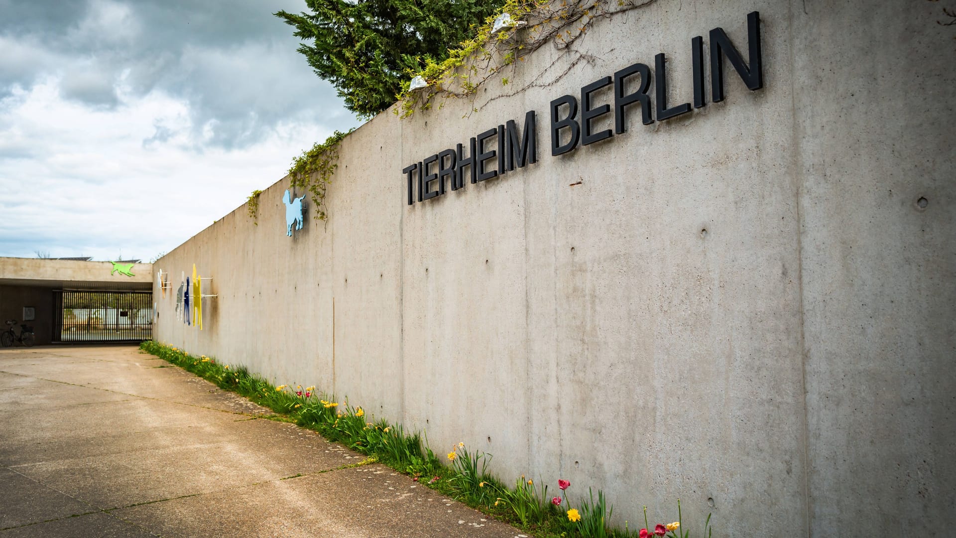 Das Tierheim Berlin am Hausvaterweg in Lichtenberg: Tierinteressenten können die Mitarbeiter nicht immer erreichen.
