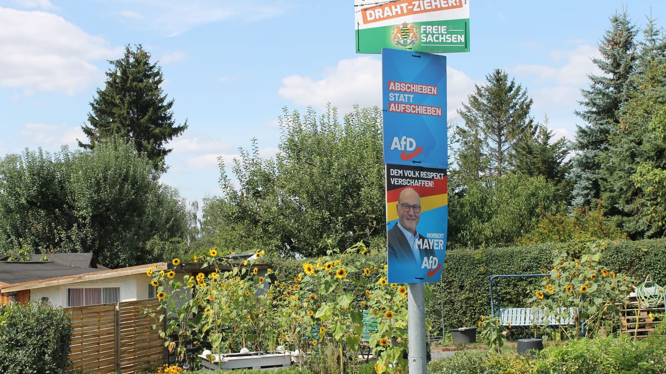 Wahlplakate der AfD und der Freien Sachsen in Wisdruff: Die AfD erfährt hohen Zuspruch.